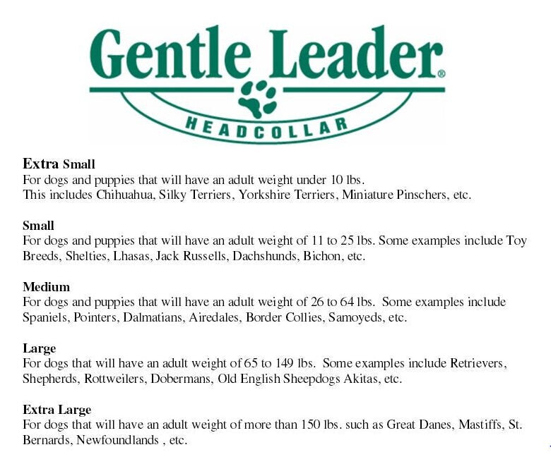 Licou De Contrôle Beige Pour Chien - Gentle Leader