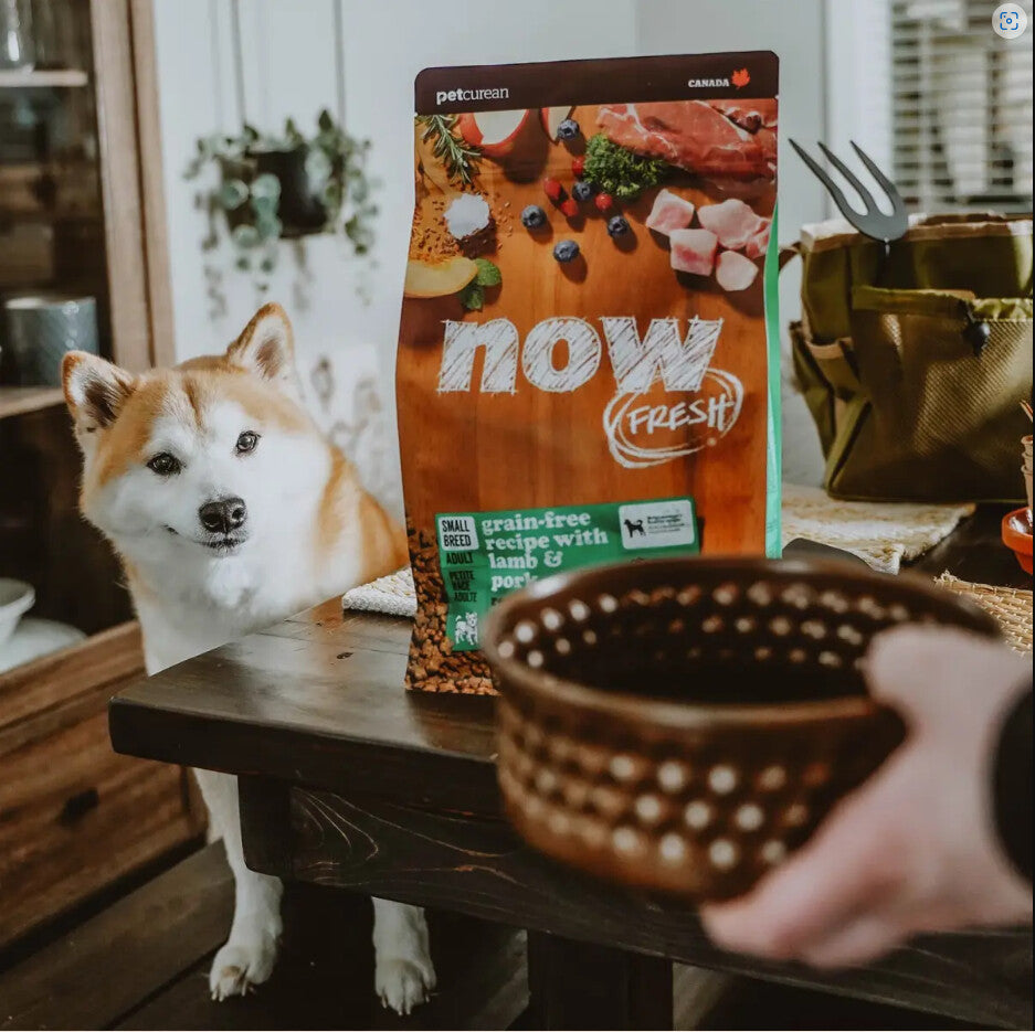 Nourriture Pour Chiens De Petites Races à La Viande Rouge - Now Fresh