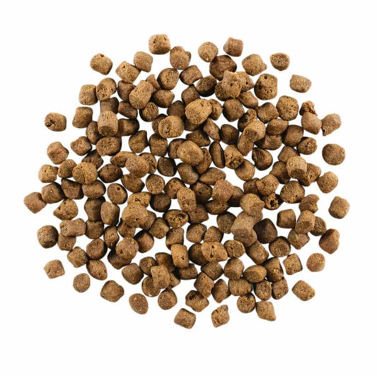 Nourriture Sans Grains à L’agneau Et Au Sanglier Pour Chats - Go ! Carnivore