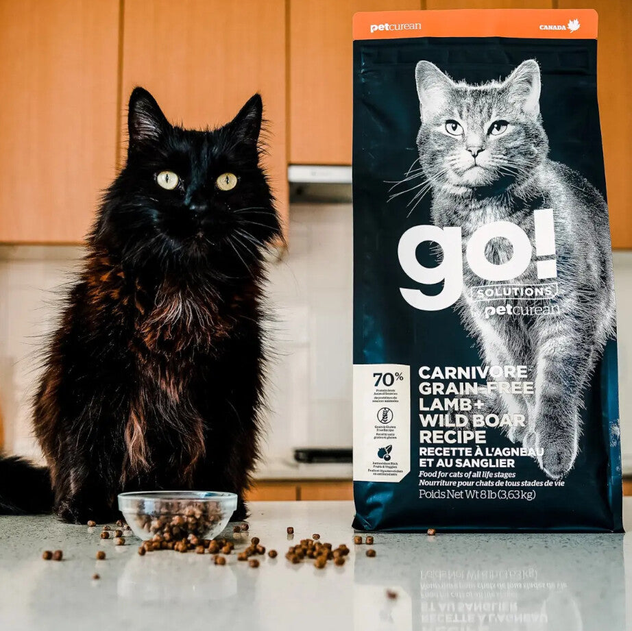 Nourriture Sans Grains à L’agneau Et Au Sanglier Pour Chats - Go ! Carnivore