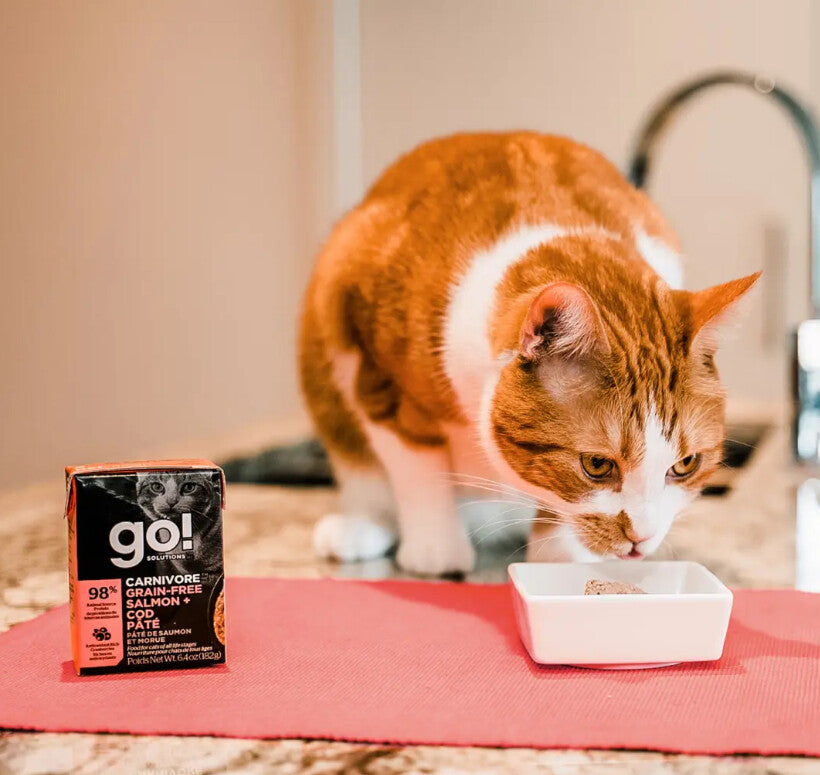 Nourriture En Boîte Pâté De Saumon Et Morue Pour Chats - Go ! Carnivore