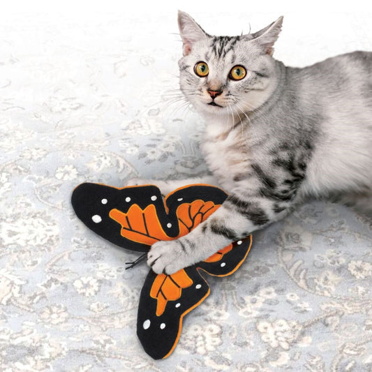 Papillon Géant Pour Chat - Kong