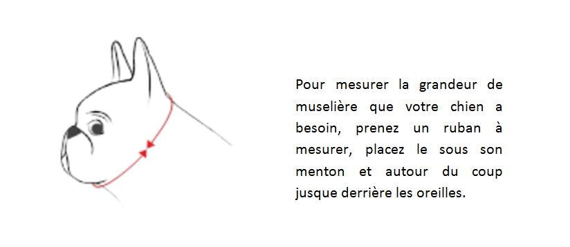 Muselière Grise Pour Les Chiens Avec Un Museau Plat - Canine Friendly