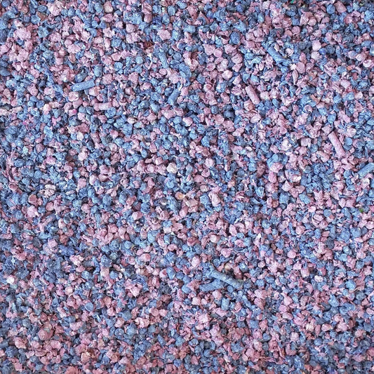 Litière Fresh 'N Comfy Bleu - Living World