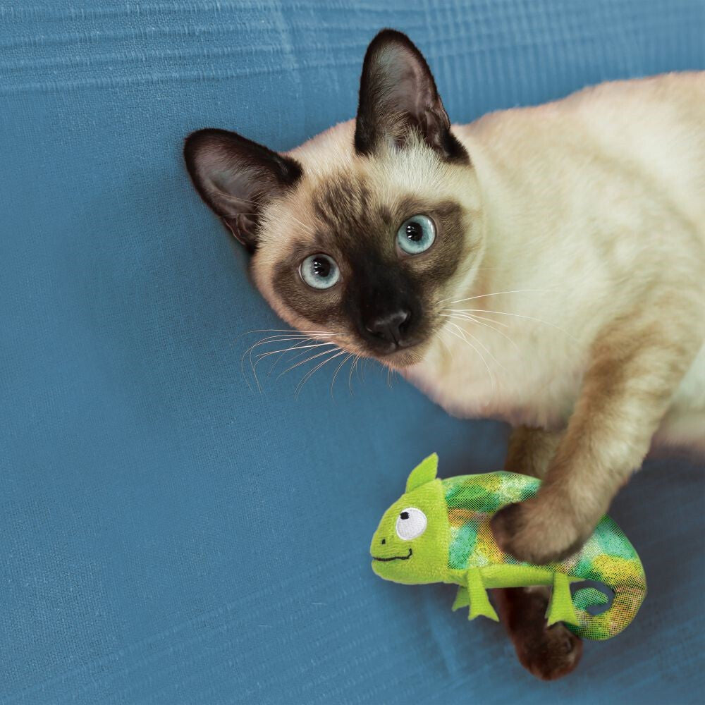 Peluche En Forme De Caméléon & Herbe à Chat - Kong