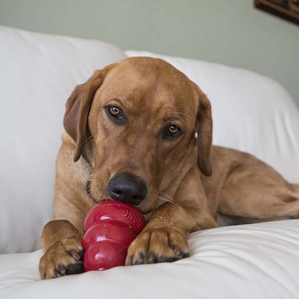 Biscuits Pour Chiens Au Foie - Kong