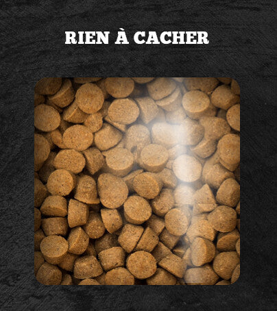Nourriture Sans Grains Pour Chiens Au Poisson - Oven-Baked Tradition