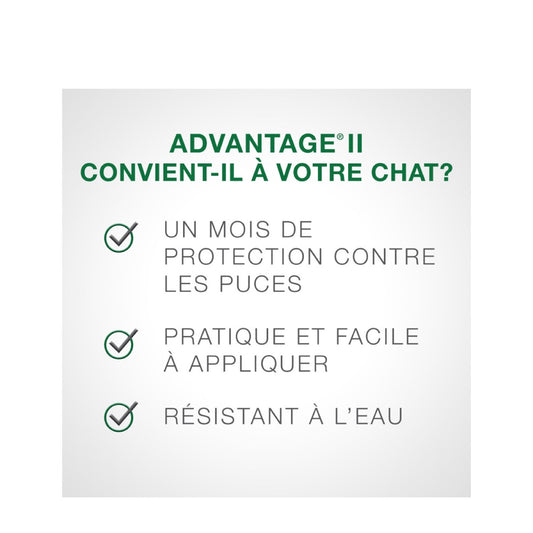 Produit Pour Les Puces Advantage II Pour Chatons - Bayer