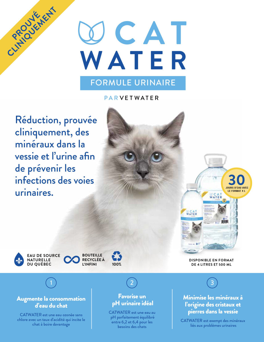  Eau Formule Urinaire Pour Chats 4 Litres - Cat Water