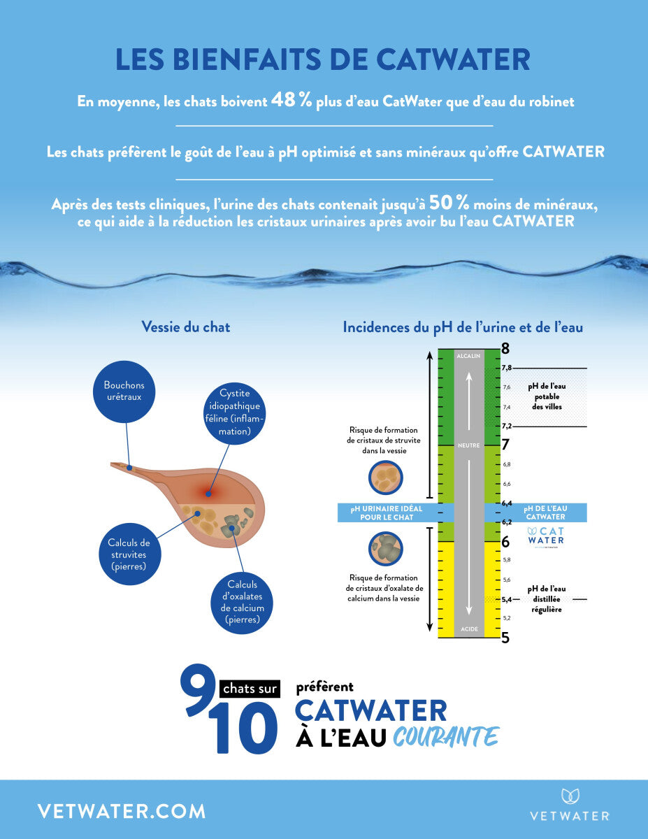 Eau Formule Urinaire Pour Chats 4 Litres - Cat Water