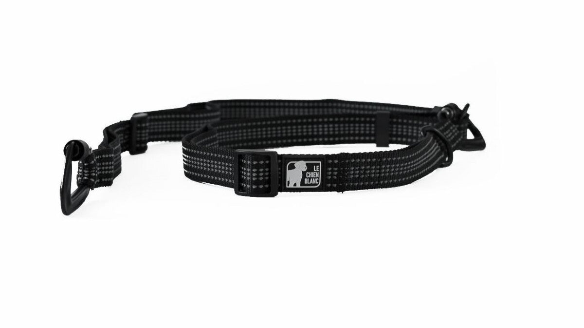  Laisse Multi-usage STORM - Chien Blanc