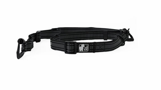  Laisse Multi-usage STORM - Chien Blanc