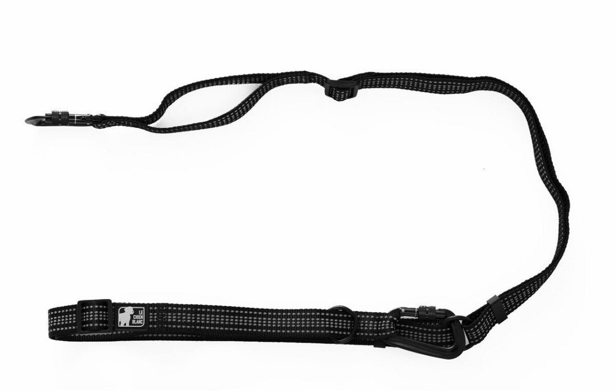  Laisse Multi-usage STORM - Chien Blanc
