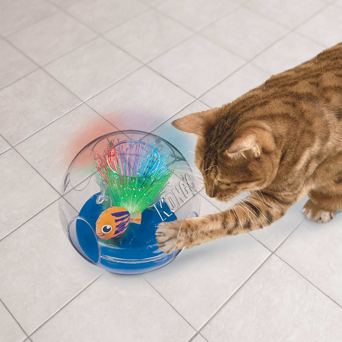  Aquarium Lumineux Bat-a-bout Pour Chats - Kong