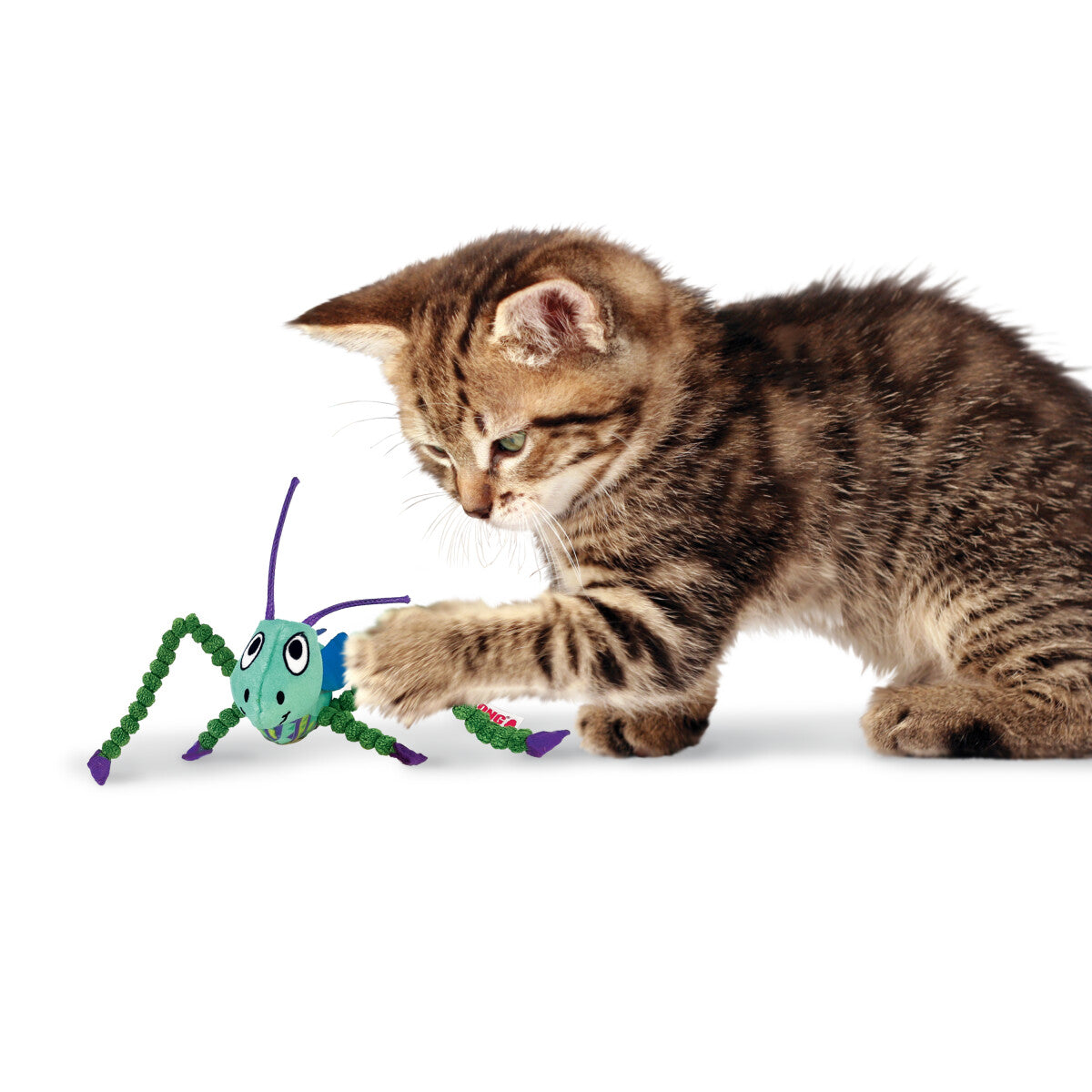  Peluche En Forme De Sauterelle Avec Herbe A Chat - Kong