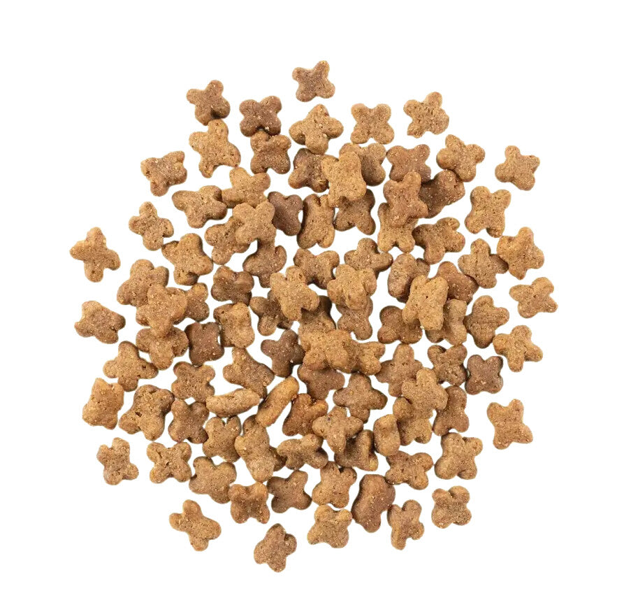 Nourriture Pour Chiens De Petites Races à La Viande Rouge - Now Fresh