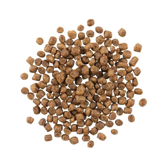  Nourriture Pour Chatons Sans Grains - Now Fresh