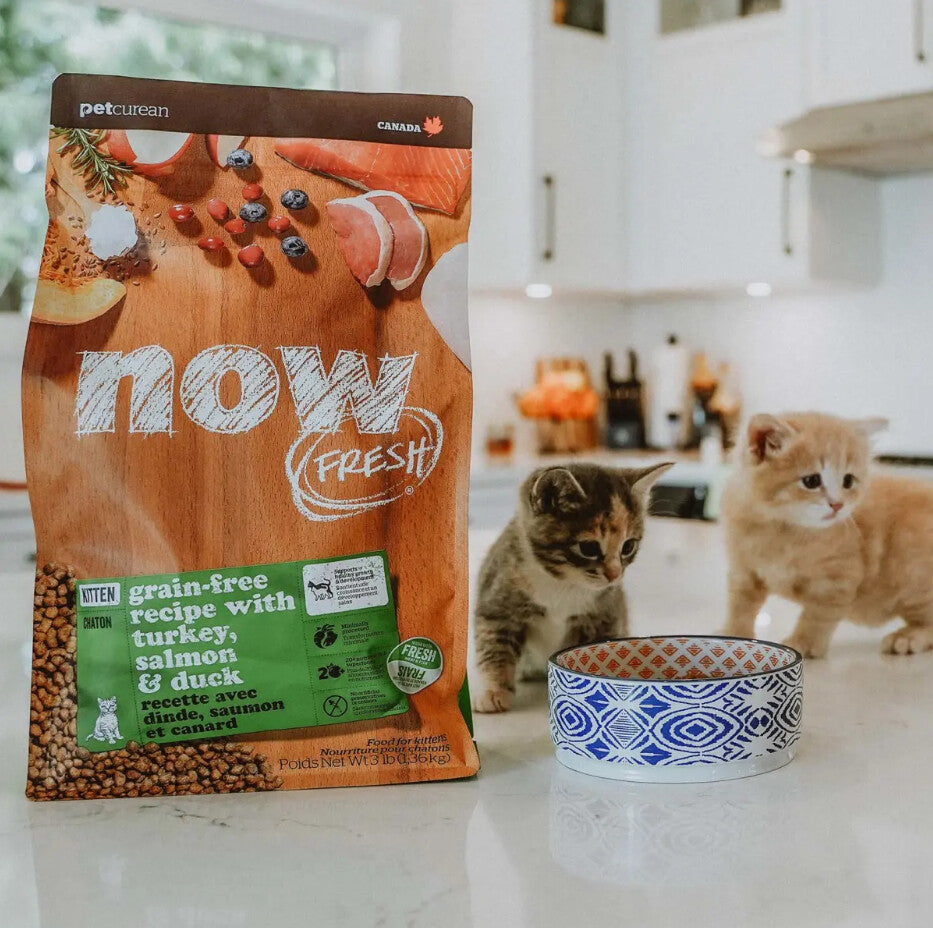  Nourriture Pour Chatons Sans Grains - Now Fresh