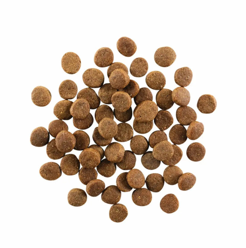  Nourriture Sans Grains Au Poulet, à La Dinde Et Au Canard Pour Chiots - Go! Carnivore