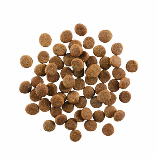  Nourriture Sans Grains Au Poulet, à La Dinde Et Au Canard Pour Chiots - Go! Carnivore