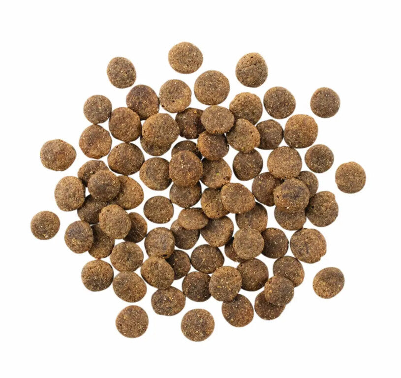  Nourriture Sans Grains à L'agneau à Ingrédients Limités Pour Chiens - Go ! Sensitivities