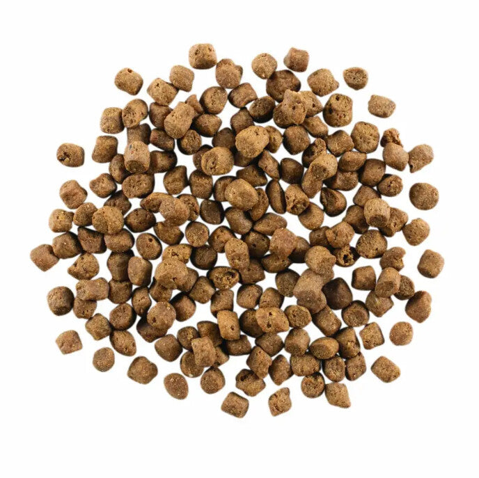  Nourriture Sans Grains à L’agneau Et Au Sanglier Pour Chats - Go ! Carnivore