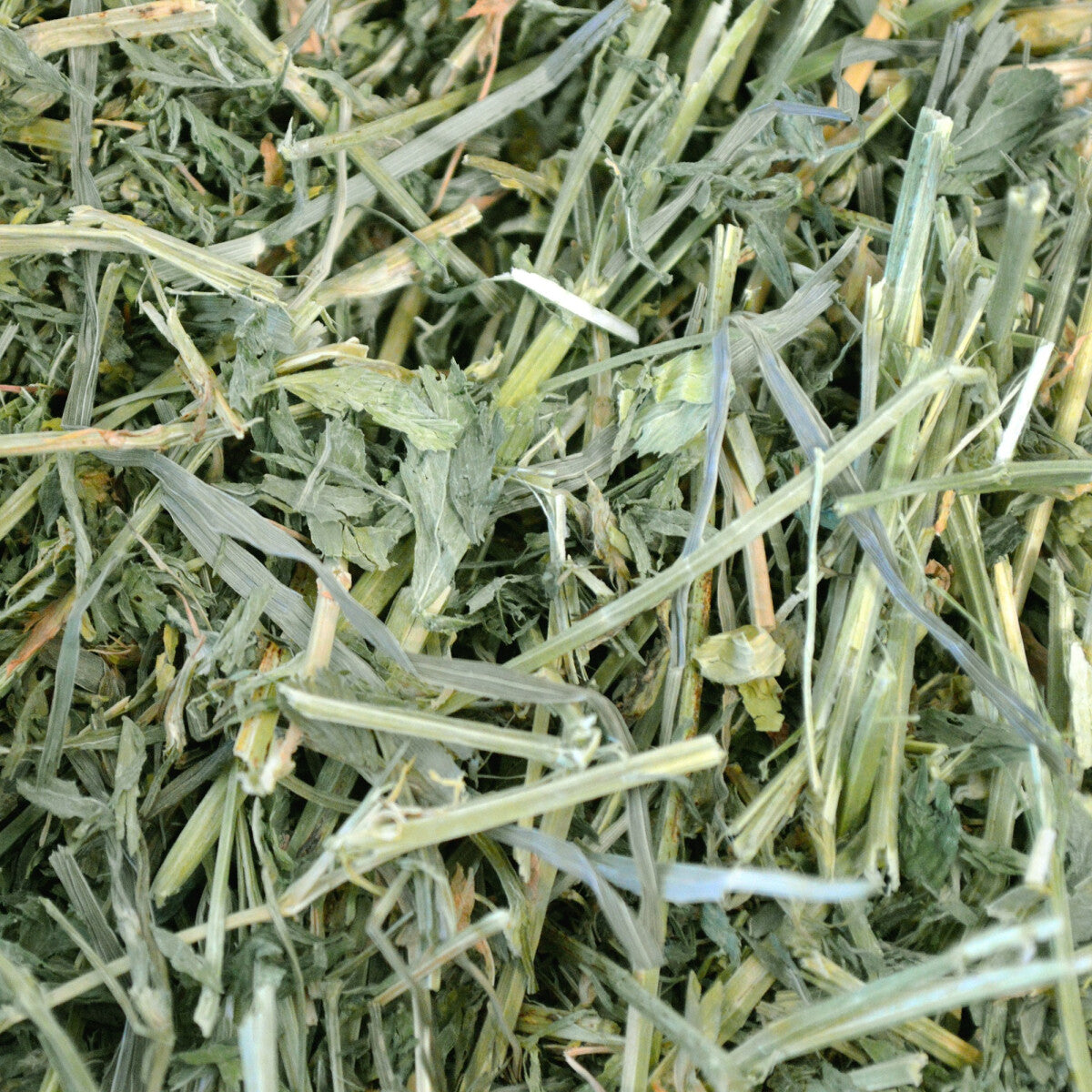  Foin D'Alfalfa Pour Petits Animaux Juvéniles 15oz - Oxbow