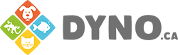 Dyno Boutique