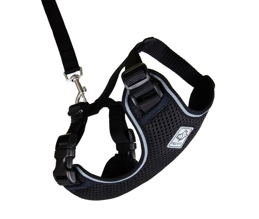  Ensemble Harnais Et Laisse Noir Pour Chats - Rc Pets
