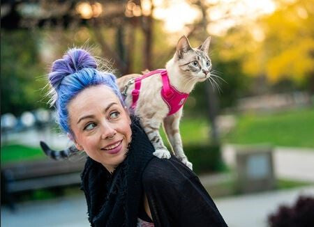  Ensemble Harnais Et Laisse Noir Pour Chats - Rc Pets