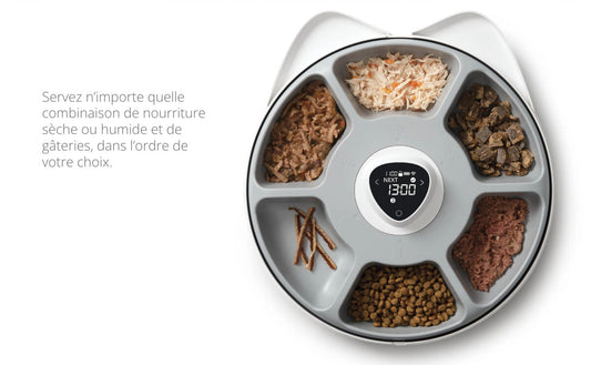 Distributeur Intelligent PIXI 6 Repas Pour Chats Et Petits Chiens - Catit