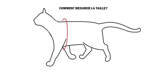  Ensemble Laisse 1,8m Et Harnais Rouge Alley - Rogz