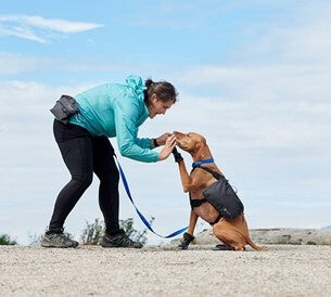  Sac-à-Dos Pour Chiens Quest Day Pack Turquoise - RcPets