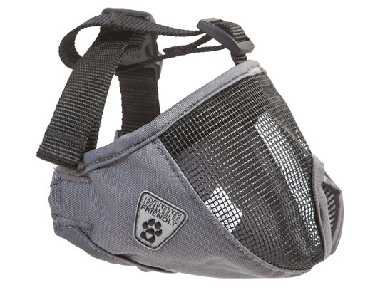  Muselière Grise Pour Les Chiens Avec Un Museau Plat - Canine Friendly