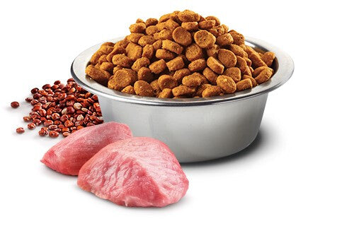  Nourriture Digestion à L'agneau Pour Chiens - Farmina Quinoa