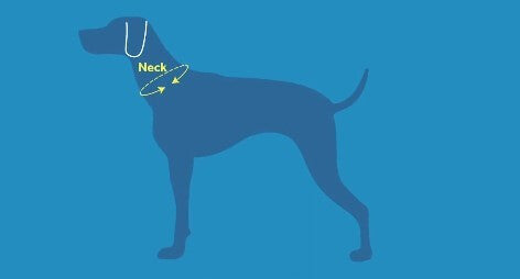  Sac-à-Dos Pour Chiens Quest Day Pack Turquoise - RcPets