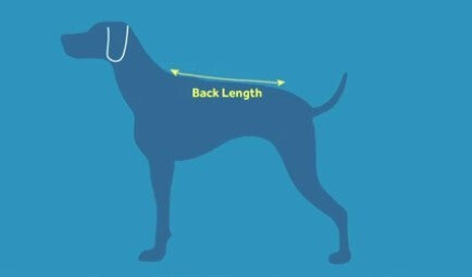  Sac-à-Dos Pour Chiens Quest Day Pack Turquoise - RcPets
