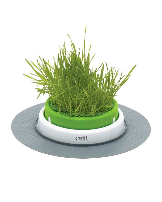 Jardinière Pour Chats Sense 2.0 Ensemble De Départ - Catit
