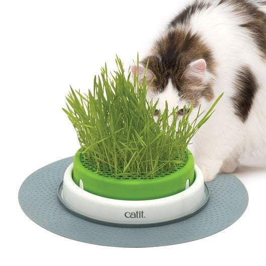  Jardinière Pour Chats Sense 2.0 Ensemble De Départ - Catit