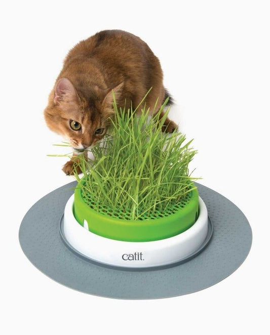  Jardinière Pour Chats Sense 2.0 Ensemble De Départ - Catit