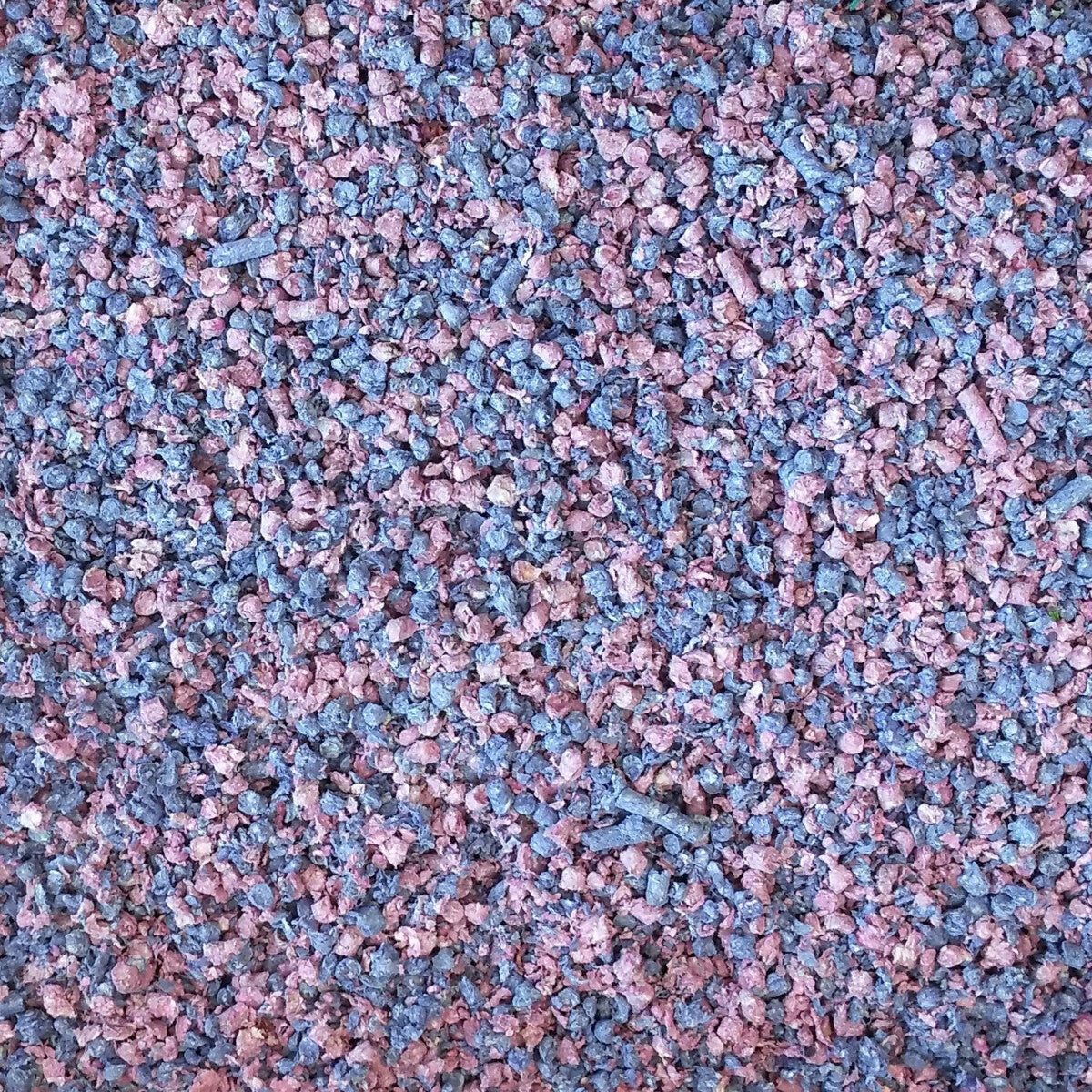  Litière Fresh 'N Comfy Bleu - Living World
