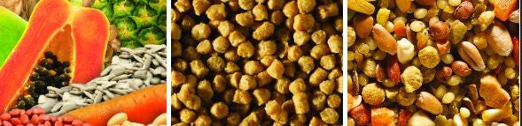 Nourriture Pour Perruches Et Inséparables - Tropimix
