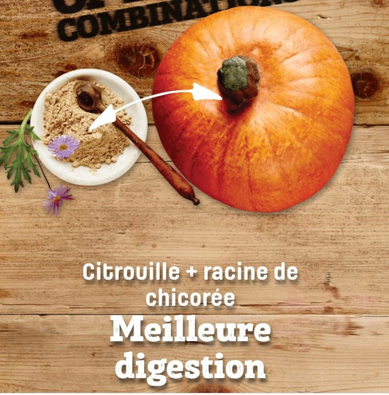  Nourriture Pour Chiens Adultes à L'agneau - Nutram Sound S9