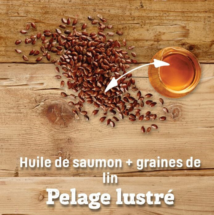  Nourriture Pour Chiens Adultes à L'agneau - Nutram Sound S9