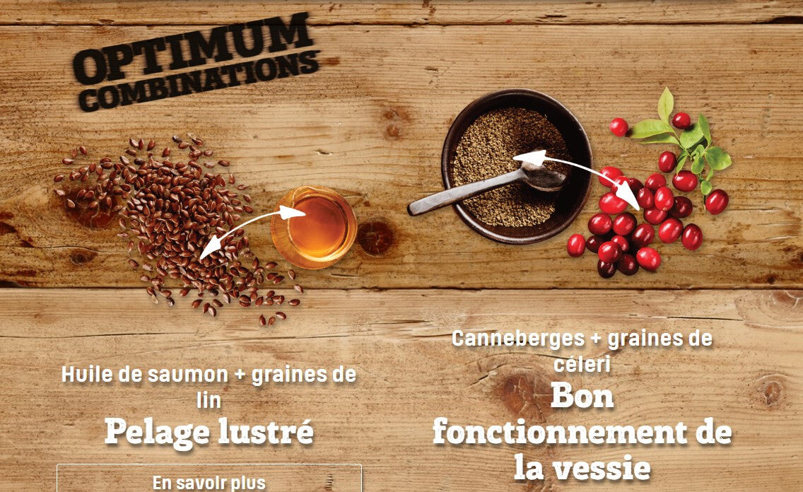  Nourriture Pour Chats D'intérieur Au Poulet - Nutram Ideal I17