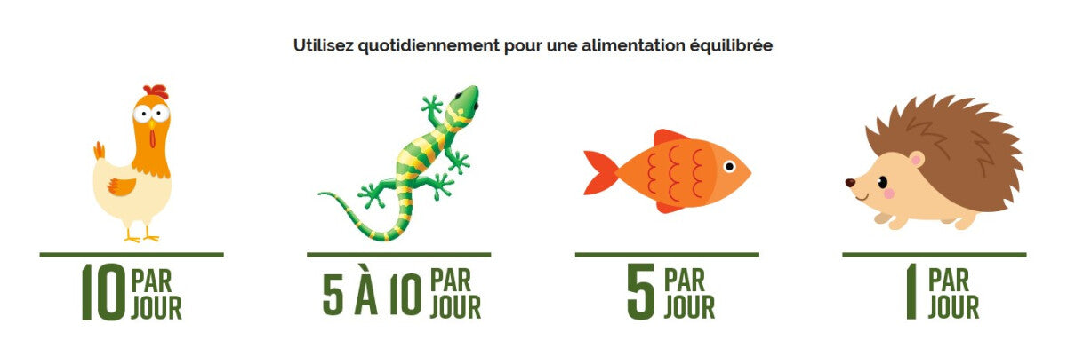  Gâterie D'Insectes Séchés - Choix Nature