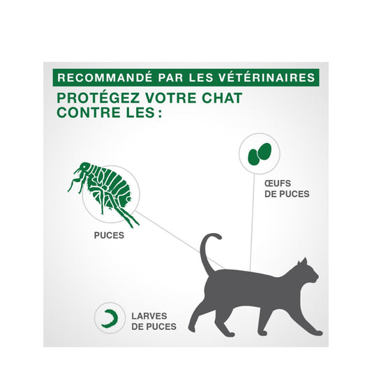  Produit Pour Les Puces Advantage II Pour Chatons - Bayer