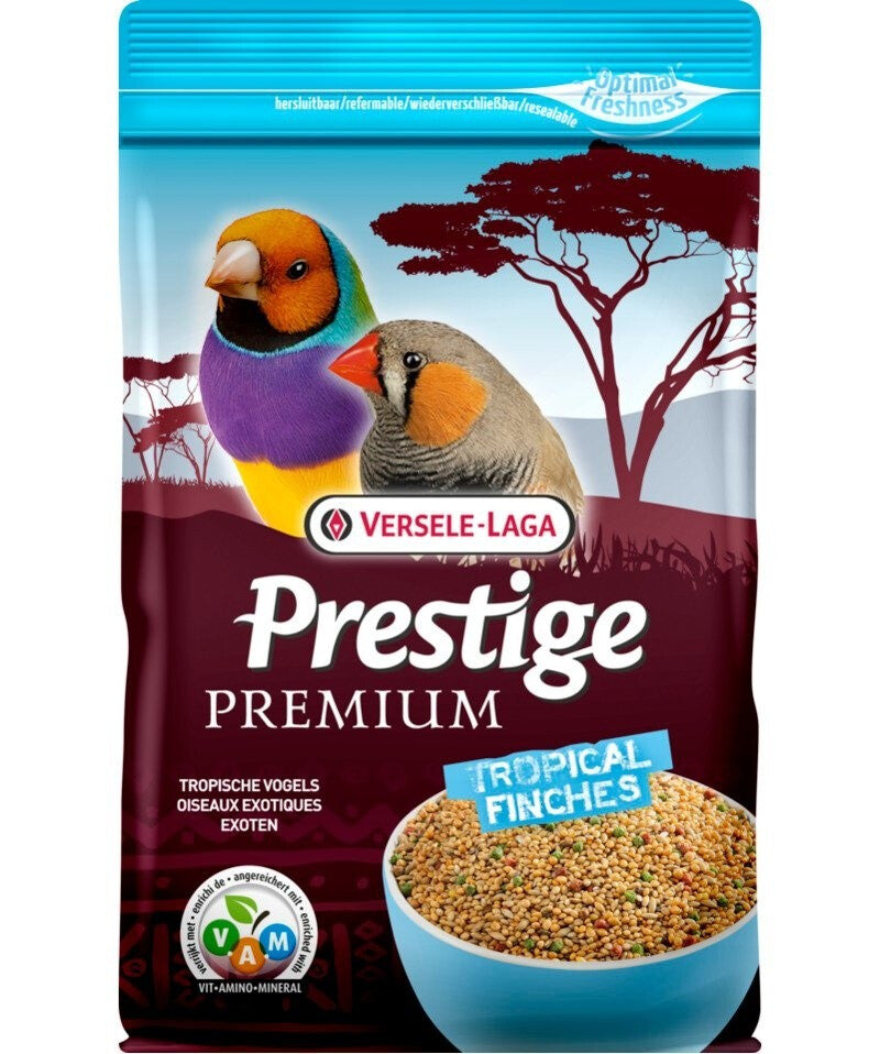  Premium Prestige Tropical Finches - Pinson