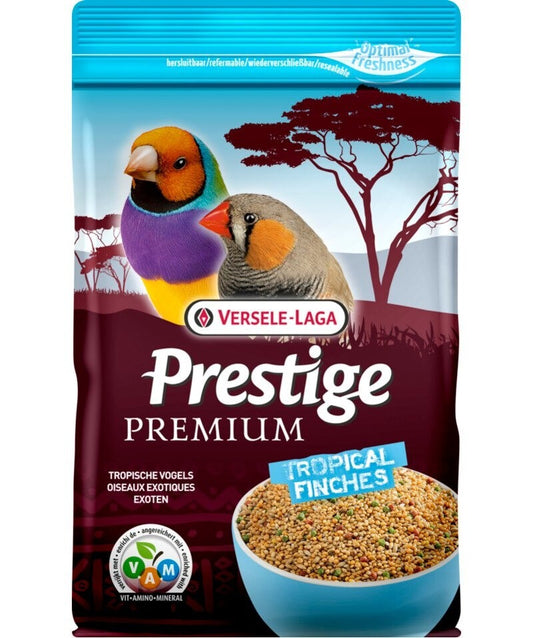  Premium Prestige Tropical Finches - Pinson