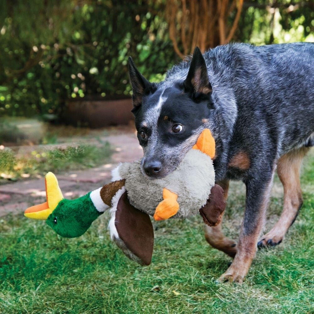  Peluche Shakers Pour Chiens Dinde - Kong